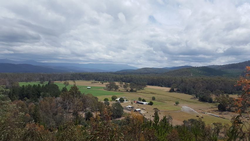 Waverley Farm